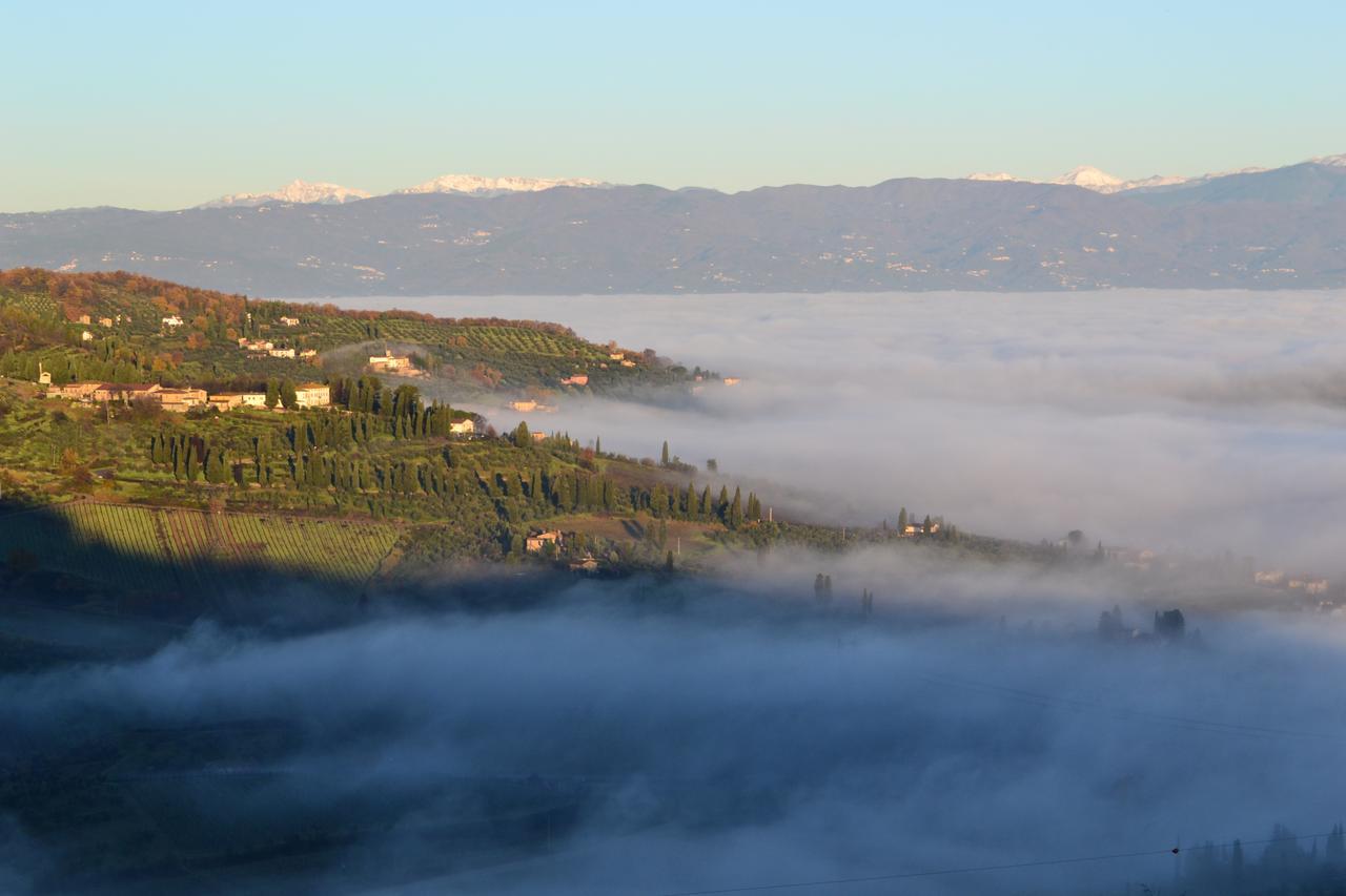Tenuta Di Capezzana Bed and Breakfast Seano Εξωτερικό φωτογραφία
