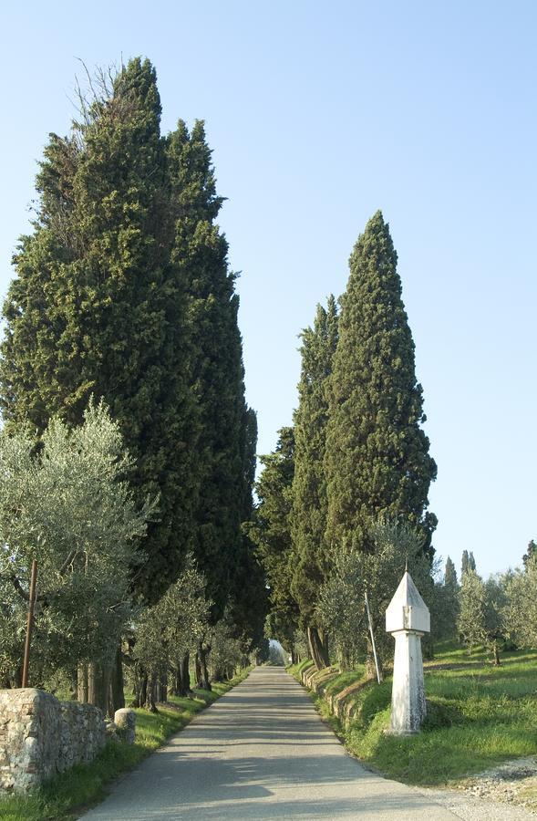 Tenuta Di Capezzana Bed and Breakfast Seano Εξωτερικό φωτογραφία
