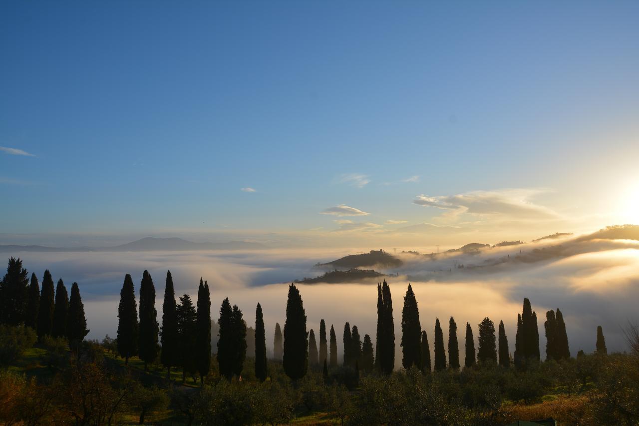 Tenuta Di Capezzana Bed and Breakfast Seano Εξωτερικό φωτογραφία